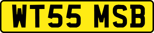 WT55MSB