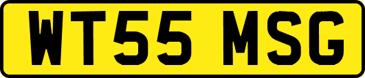 WT55MSG