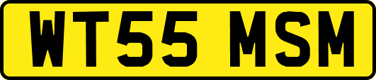 WT55MSM