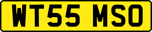 WT55MSO