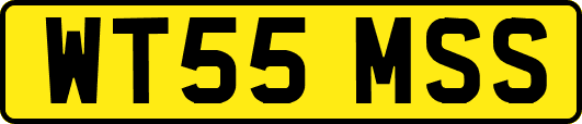 WT55MSS