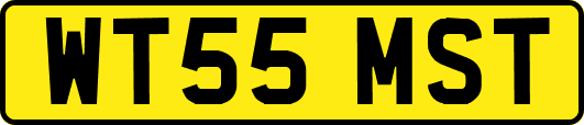 WT55MST