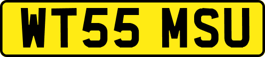 WT55MSU