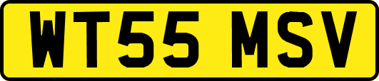 WT55MSV