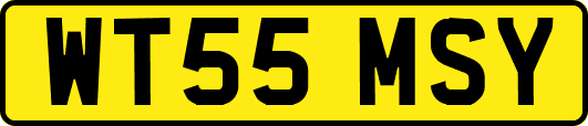 WT55MSY