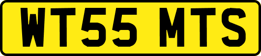 WT55MTS