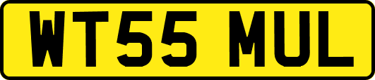 WT55MUL