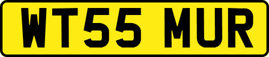 WT55MUR