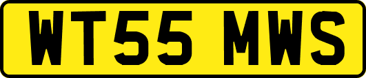 WT55MWS