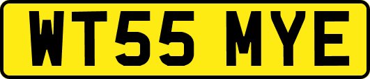WT55MYE