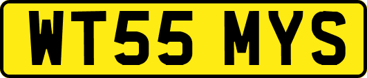 WT55MYS