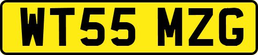 WT55MZG