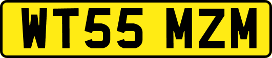 WT55MZM