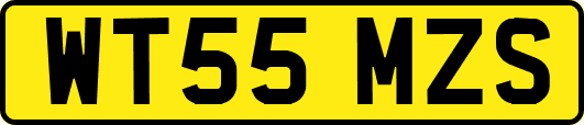 WT55MZS
