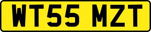 WT55MZT