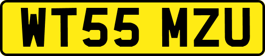 WT55MZU