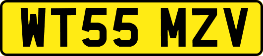 WT55MZV