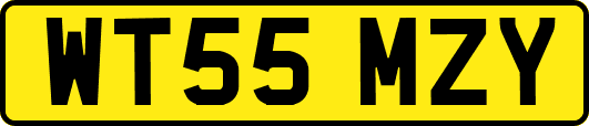 WT55MZY