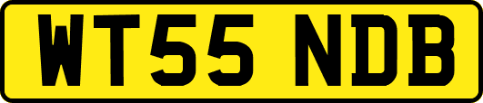 WT55NDB