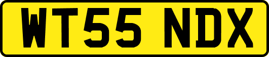 WT55NDX