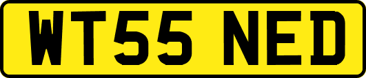 WT55NED