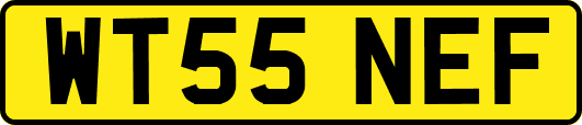 WT55NEF