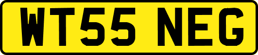 WT55NEG