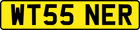 WT55NER