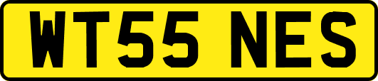 WT55NES