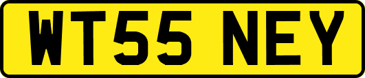 WT55NEY