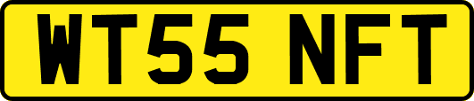 WT55NFT