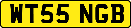 WT55NGB
