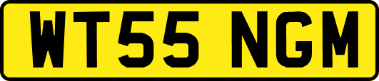 WT55NGM