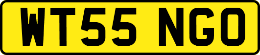 WT55NGO