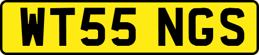 WT55NGS
