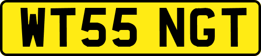 WT55NGT