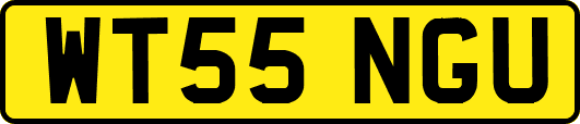 WT55NGU