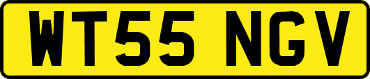 WT55NGV