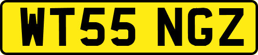 WT55NGZ