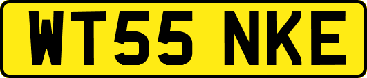 WT55NKE