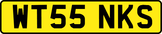 WT55NKS