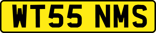 WT55NMS