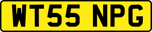 WT55NPG