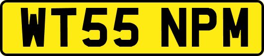 WT55NPM