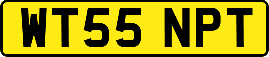 WT55NPT