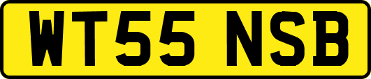 WT55NSB