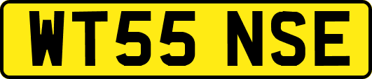 WT55NSE