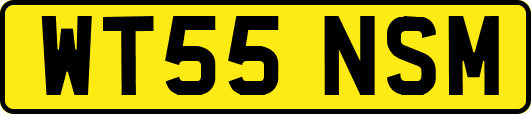 WT55NSM