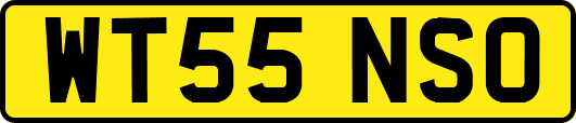 WT55NSO