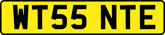 WT55NTE